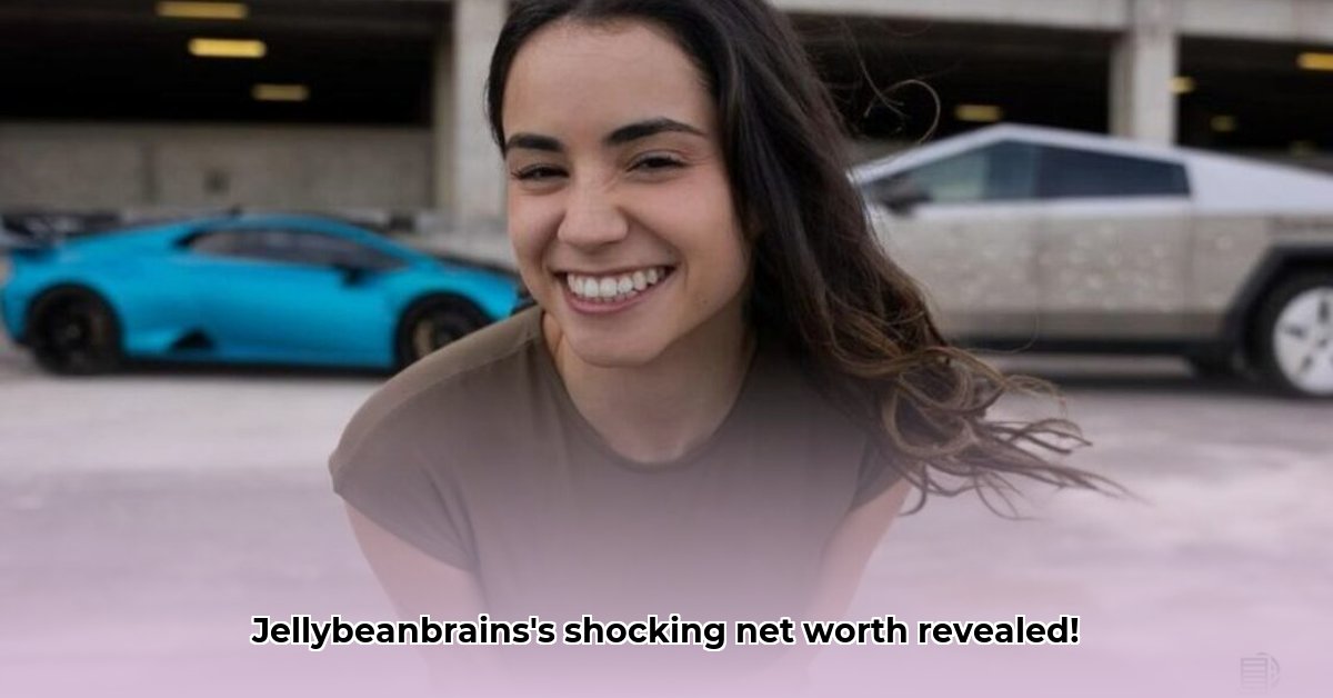 jellybeanbrains-net-worth